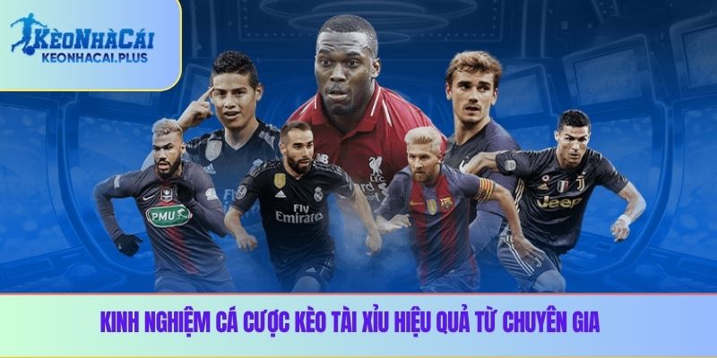 Kinh nghiệm cá cược kèo tài xỉu hiệu quả từ chuyên gia