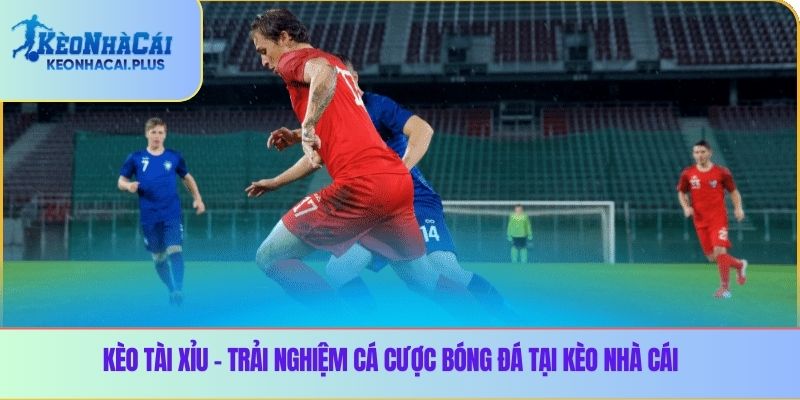 Kèo tài xỉu – Trải nghiệm cá cược bóng đá tại Kèo nhà cái