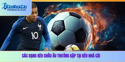 Cách hiểu và tính tỷ lệ kèo châu Âu dành cho người mới bắt đầu